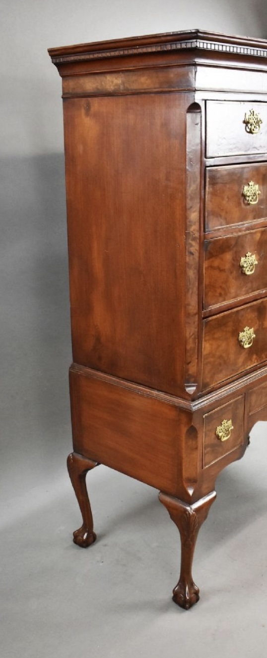 Walnut chest on stand side